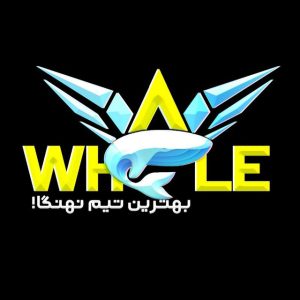 شاهین خان مالک کانال Whale Chanel اینطور کلاهبرداری می کند. 3 کانال وال ها
